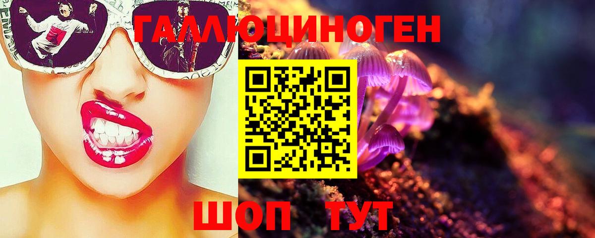 Сыктывкар  Псилоцибиновые грибы мухоморы  Вход с VPN 