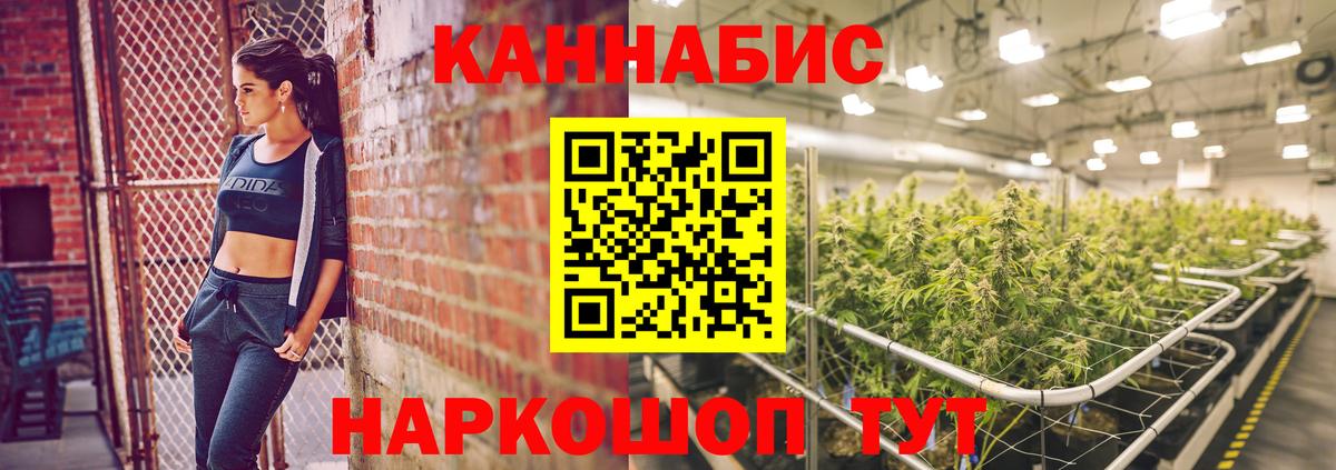 Каннабис гибрид  Конопля White Widow  Сыктывкар  Вход с VPN  Бошки Шишки Amnesia  Канабис тримм 